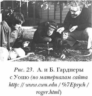 зачаток зачаток