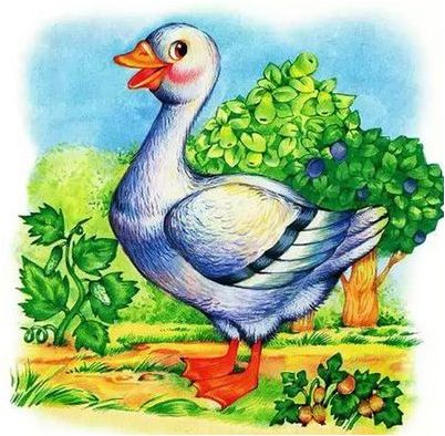 цвет цвет