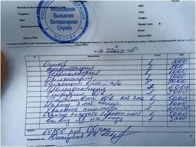 далеком севере далеком севере
