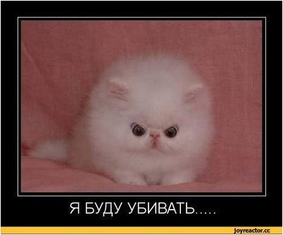 отбеливателя отбеливателя