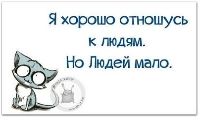 феникс феникс