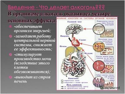 алкоголь алкоголь