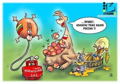 cydno бабочек cydno бабочек