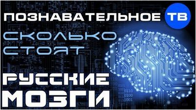 мозг мозг