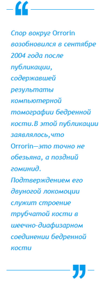 гоминиды гоминиды
