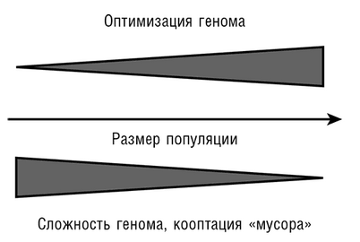 россия