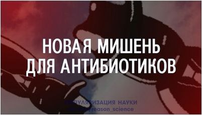 академия академия