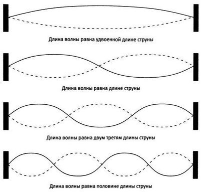организатор организатор