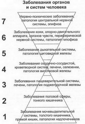 токсин токсин