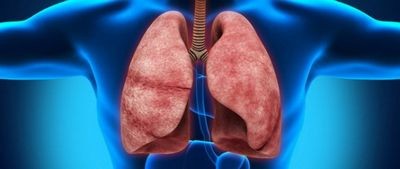 PLoS вычислительная биология PLoS вычислительная биология