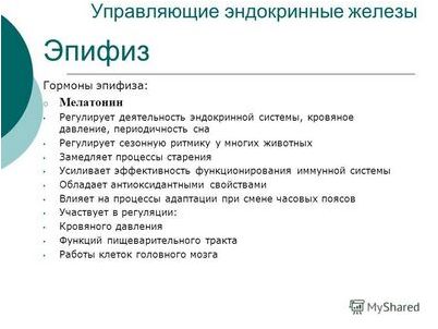 давление давление