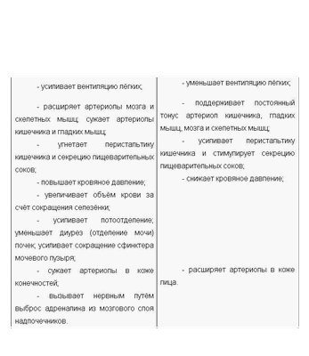 объяснить объяснить