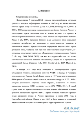 человек человек
