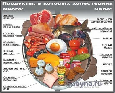 холестерин холестерин