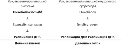 синдром синдром