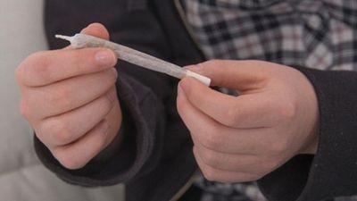 использование марихуаны использование марихуаны
