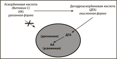 витамин витамин
