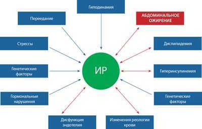 Открыта новая генетическая форма ожирения и диабета