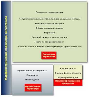 Паттерны опухолей DIPG предлагают новое понимание выживаемости