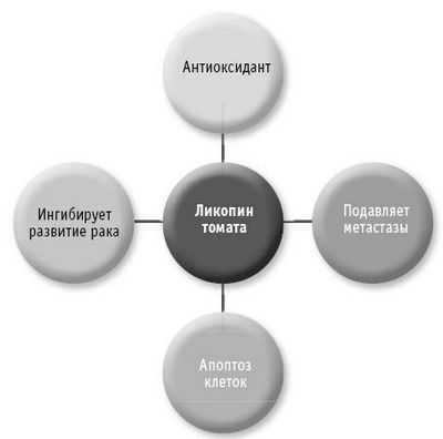 Замалчивание коммуникации раковых клеток может уменьшить рост опухолей