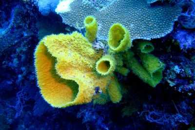 Исследователи определили потенциально революционное лекарство от смертельного детского рака