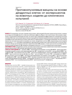 Вакцина из дендритных клеток у пациента с рецидивом нейробластомы вызывает полную ремиссию