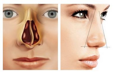 дыхательные пути