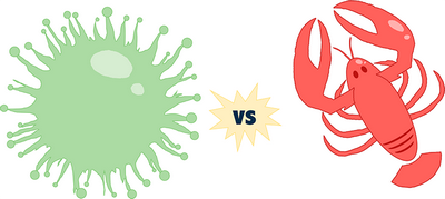 Заражение вирусом только одной опухоли может повысить системную эффективность иммунотерапии рака