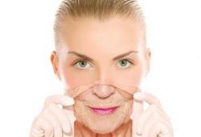 стволовые клетки