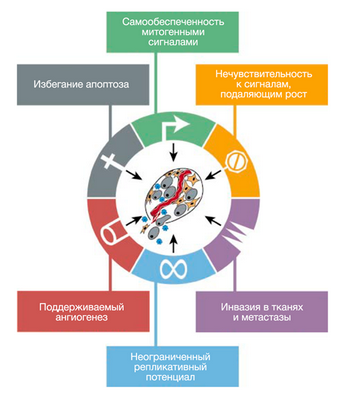 Исследования открывают нетоксичные методы лечения рака