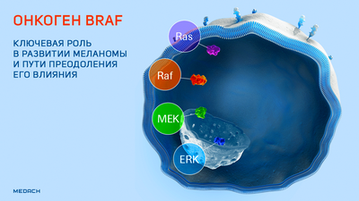 Меланома - расшифрованы механизмы устойчивости к ингибиторам BRAF