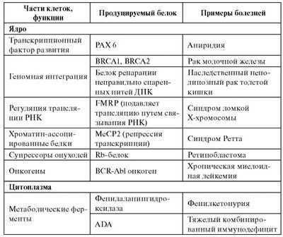 Классификация генных мутаций при онкологических заболеваниях у детей может указывать на улучшение лечения Классификация генных мутаций при онкологических заболеваниях у детей может указывать на улучшение лечения