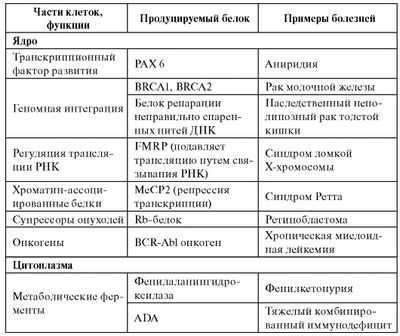 Классификация генных мутаций при онкологических заболеваниях у детей может указывать на улучшение лечения