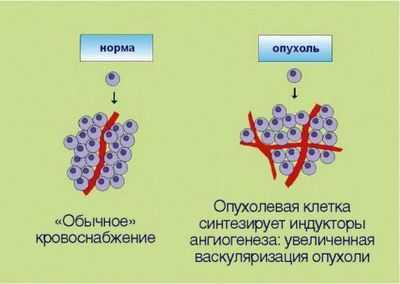 Передача сигналов метилирования контролирует ангиогенез и рост рака