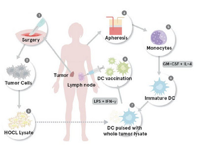 Исследователи разрабатывают персонализированные вакцины против рака яичников